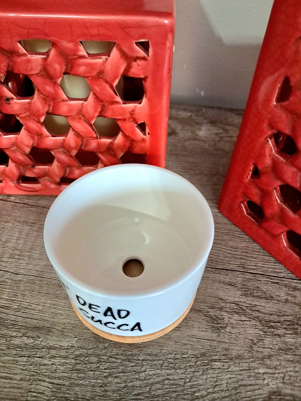 Not Dead Yet Succa Ceramic Planter with Bamboo Tray - Picture 3 of 4